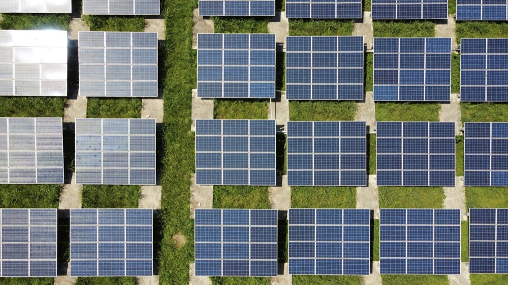 Aerial view of rows of solar panels