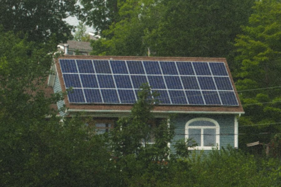Clapboard house with a full solar array, surrounded by spruce trees